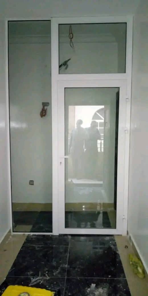 Frosted Frameless Door