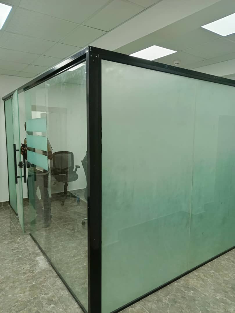 Frosted Frameless Door
