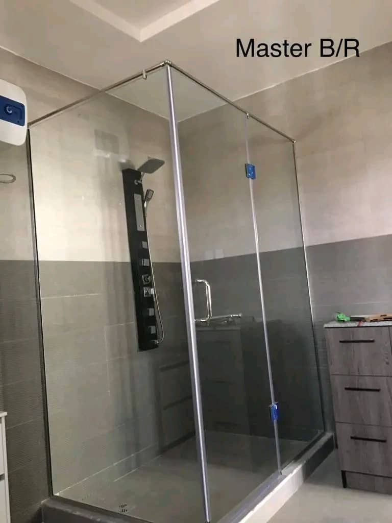 Frosted Frameless Door